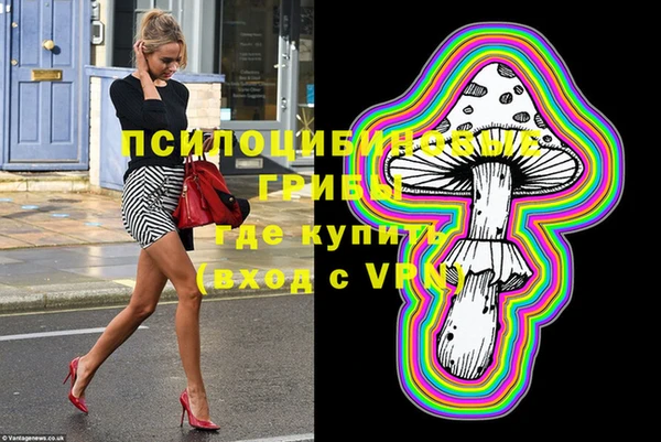 спайс Алзамай