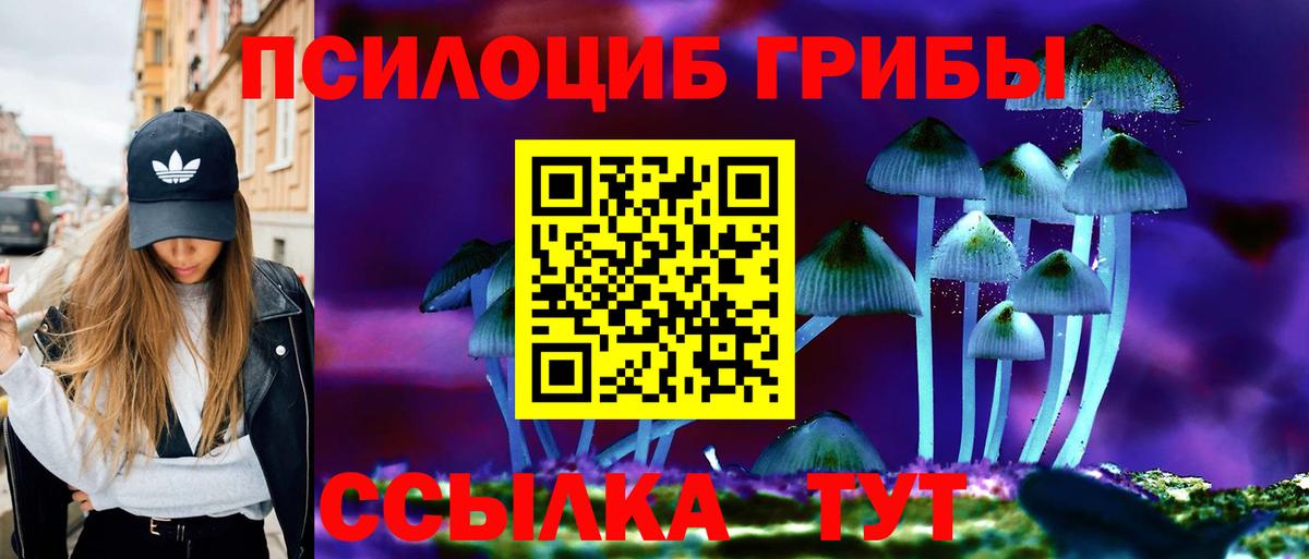 Михайловск  Галлюциногенные грибы мицелий  Вход с VPN 